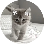 Пожертвование