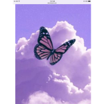 Aesthetic purple cute
