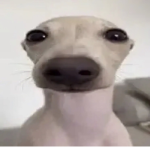 Neverb4