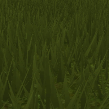 Grass [UPDATE]