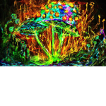 ah yes amazing