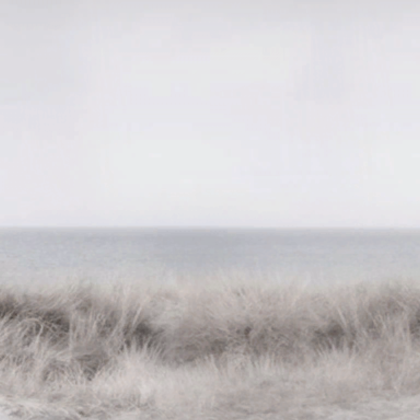 desolate beach 