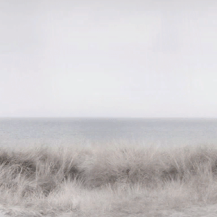 desolate beach 
