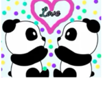 Pandas in a zoo!