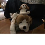 The bagel beagles bros