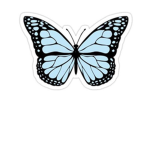 Hi butterfly’s