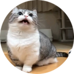 caption=GamePass