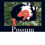 The Opossums