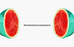 Official watermelon sandwich group on Roblox