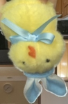Dr. Chicken2013 coop