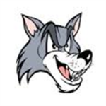 wild dogs [CCCI]