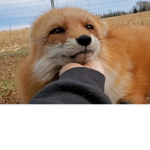--.-