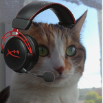 L3M44n's cat fan club