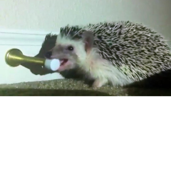 My Penthouse In Greenville SC (UPDATED)