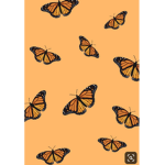 Butter Fly Gang