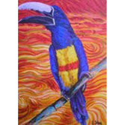 Corrida dos sortudos