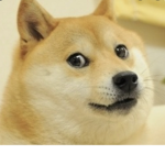 [UDAFA]-United Doge Air Force Army