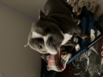 I know she cute