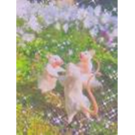 Tiny mice united