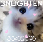 3NLIGHTEN