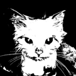 kittyfaced Group Thumbnail