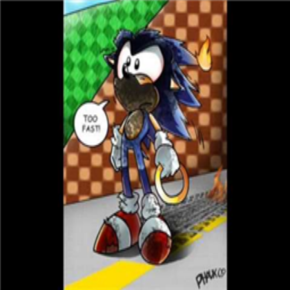 Sonic Funny Roblox decal
