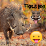 TickleHog Creations