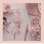 Bliss Soften