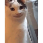 혜성띠