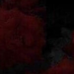 𝓐𝓻𝓶𝓪𝓰𝓮𝓭𝓭𝓸𝓷