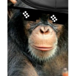 The Staic group