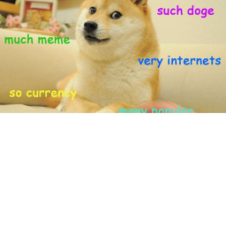Gun DOGE FIGHT