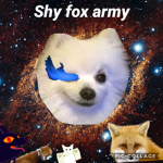 Shy fox army