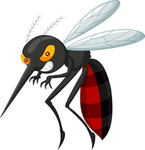Mosquitos del dengue