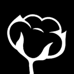 The Dust & Thread Co.
