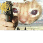CATS OF GOD