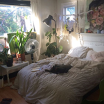 Aiva's Closet™