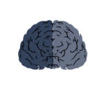Harbour-Bay Psychiatry Department