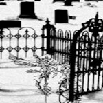 °。 ⋆༺⛧༻⋆。 °