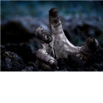 zombieboyrocks's Group