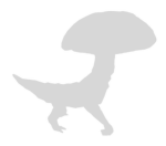 Crushhead