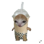 Boba Battle Studios