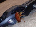 I just want to change the name of this bro