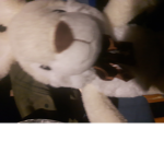 Bunnys younited