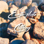 Pokemon Earth Plate #######