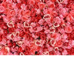 LvulyFlowers
