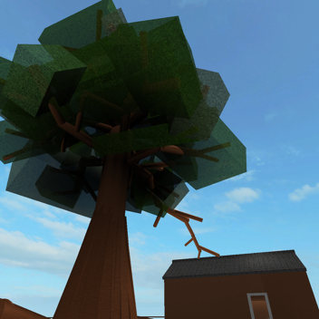 The Twisted Oak