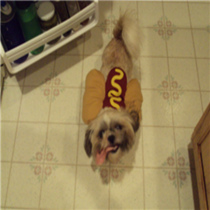 Mah dog likes ham Roblox decal