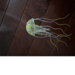 Jellyfish is awesome