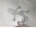 Coolbcg543 is my name and also E